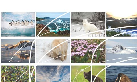 Polar Law and Resources