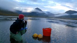 UWestfjords profile image