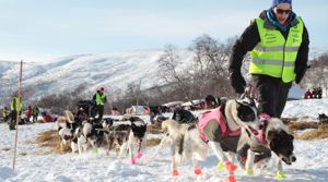 Dogs pulling a sled in Alta  PHOTO: Tommy Hansen