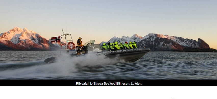 Arctic Frontiers Rib safari to Skrova Seafood Ellingsen, Lofoten
