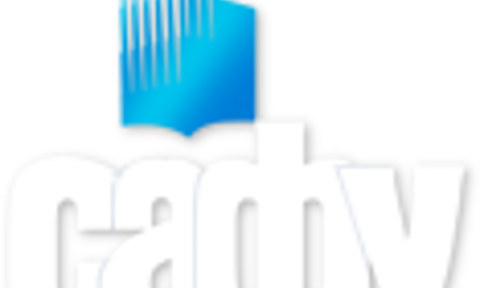 Northern (Arctic) Federal University_logo