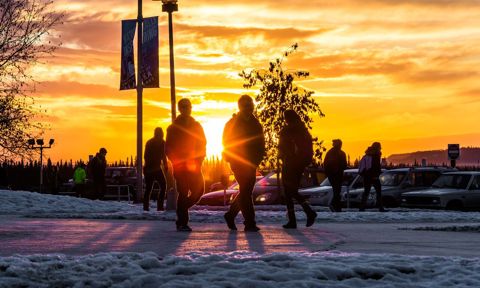 University of Alaska Fairbanks profile 11