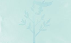 Sharedvoicesmagazine3233koivurovagraphic