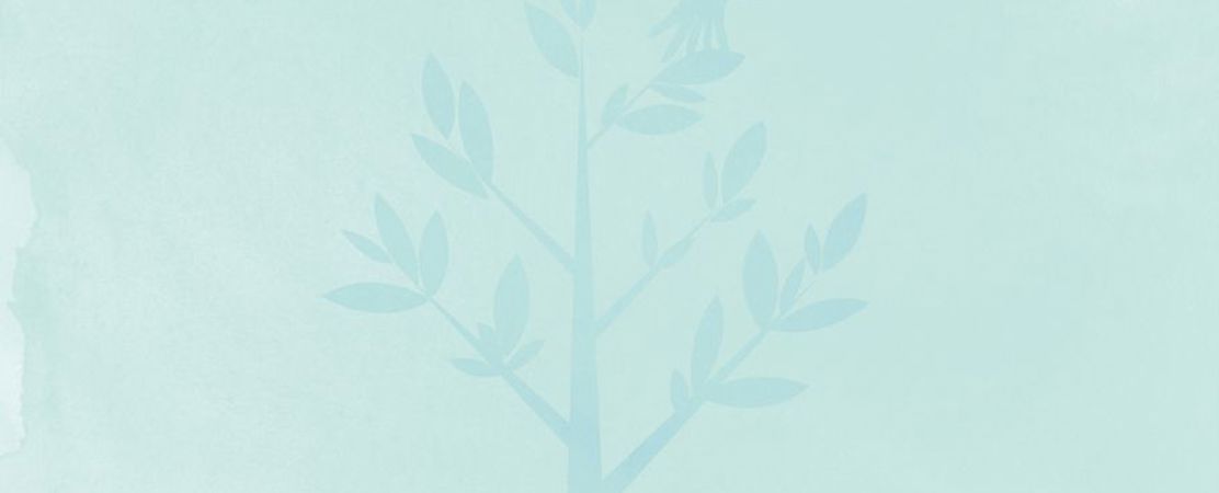 Sharedvoicesmagazine3233koivurovagraphic