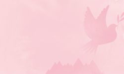 Sharedvoicesmagazine3435exnerpirotgraphic