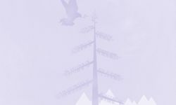 Sharedvoicesmagazine3637byersgraphic