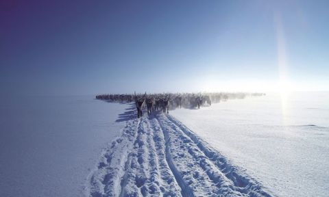 Sharedvoicesmagazinepages5051pogodaevreindeerportalorg