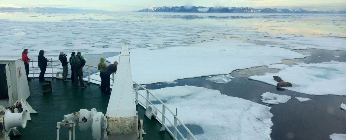 Navigating through sea ice