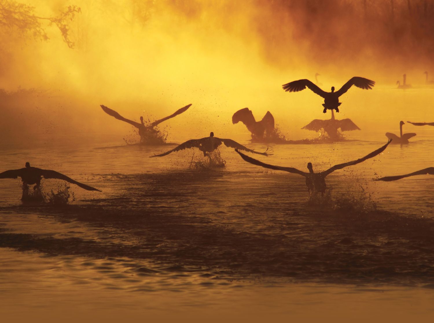 Exner-Pirot UArctic Circumpolar Cooperation.jpg