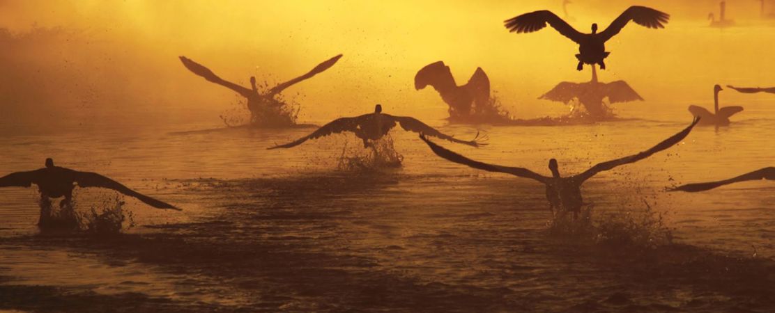 Exner-Pirot UArctic Circumpolar Cooperation.jpg