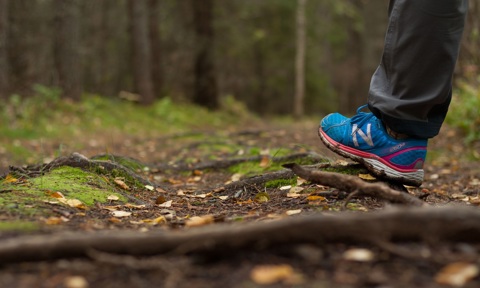 Forest Trail 2 IMG 7688