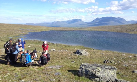 A year in the Arctic.jpg