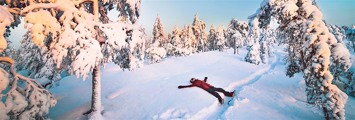 University of Lapland TourCIM.jpg