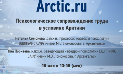Work in the Arctic webinar.png