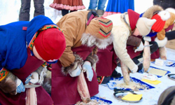 Gerasimova Haetta Sara Skills and Knowledge