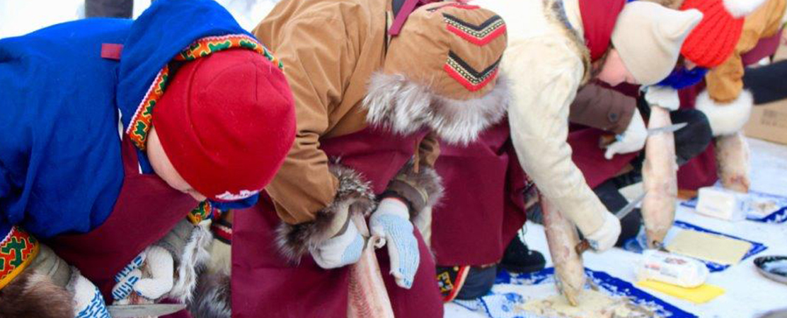 Gerasimova Haetta Sara Skills and Knowledge