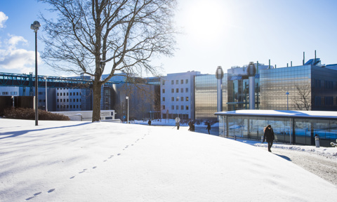 Tampere University