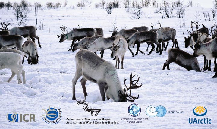 Food Innovation Leadership