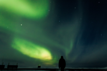 Louise Bergqvist 3.jpg