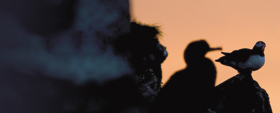 Blakekjaer Establishing West Nordic Studies