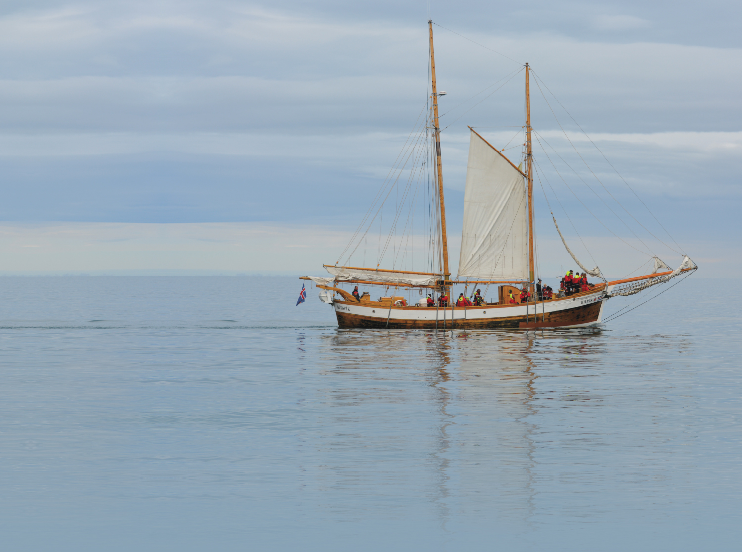 Maher Mobility Matters