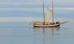 Maher Mobility Matters