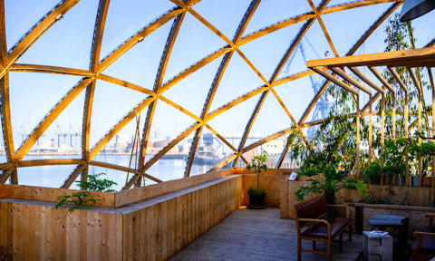 33784707028 0E2c06c0ca K