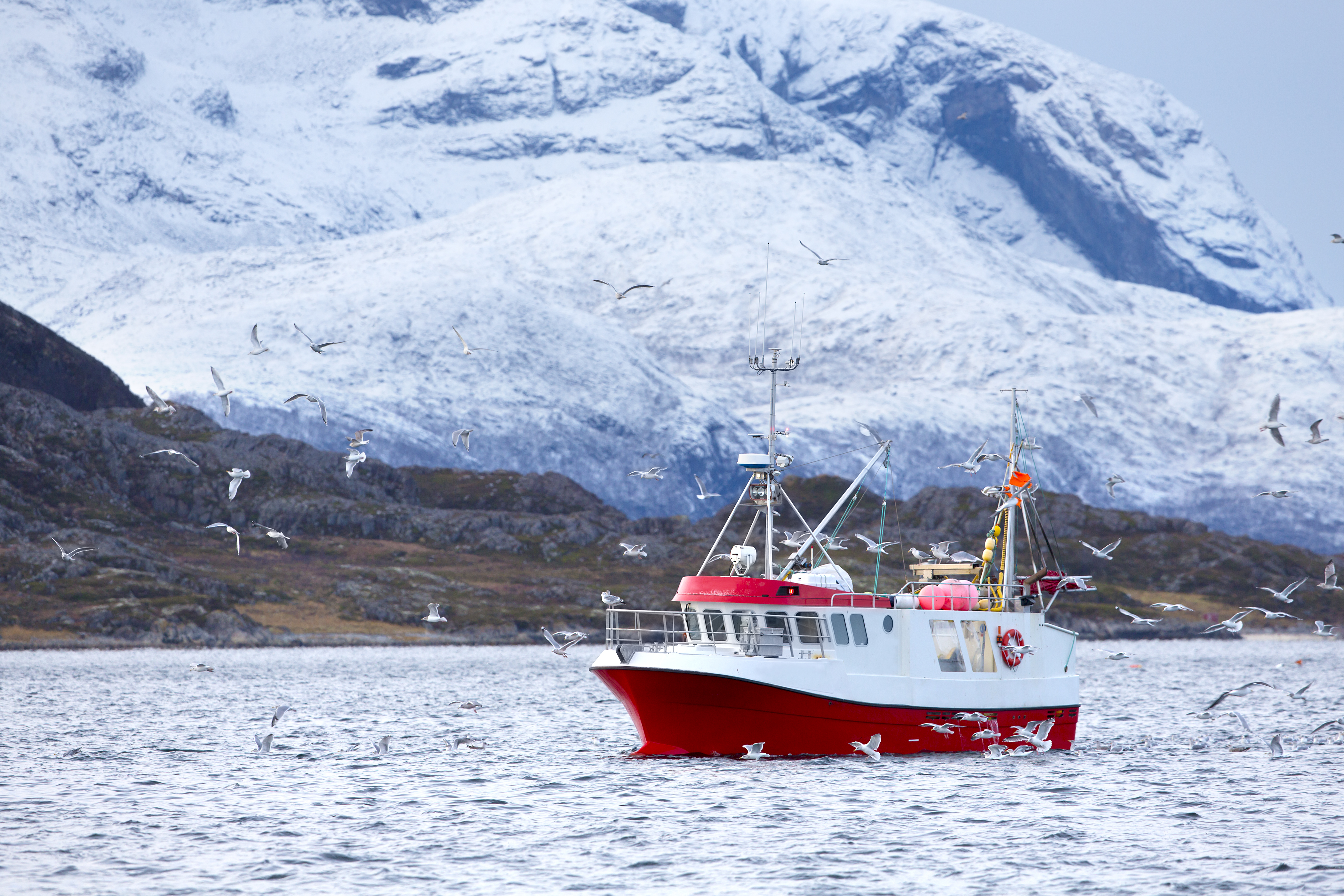 Fishing Boat At Sea In Arctic Environment PHMUB6H