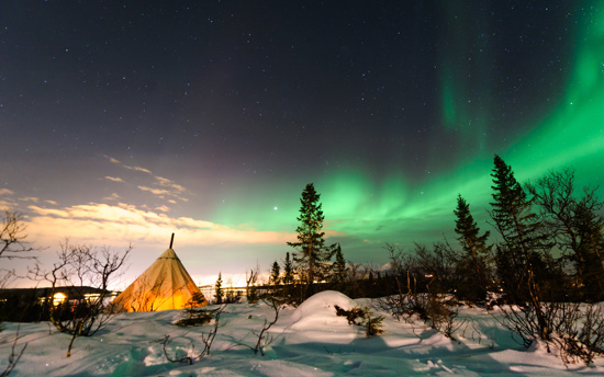 Nord University Profile 7