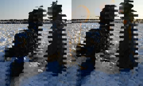 Reindeer pasture analysis in Cherski, Republic of Sakha Yakutia, Russia