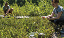 Shared Voices 2020 It Takes A Village