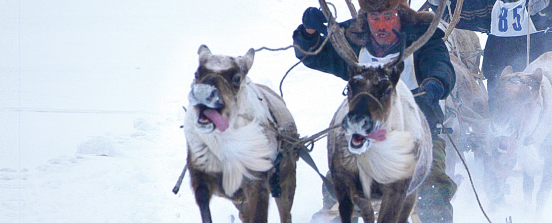 Shared Voices 2020 Key Challenge Of Arctic Herders’ Livelihoods And Cultures
