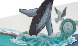 Shared Voices 2020 Our Plastic Ocean, Our Clean Ocean