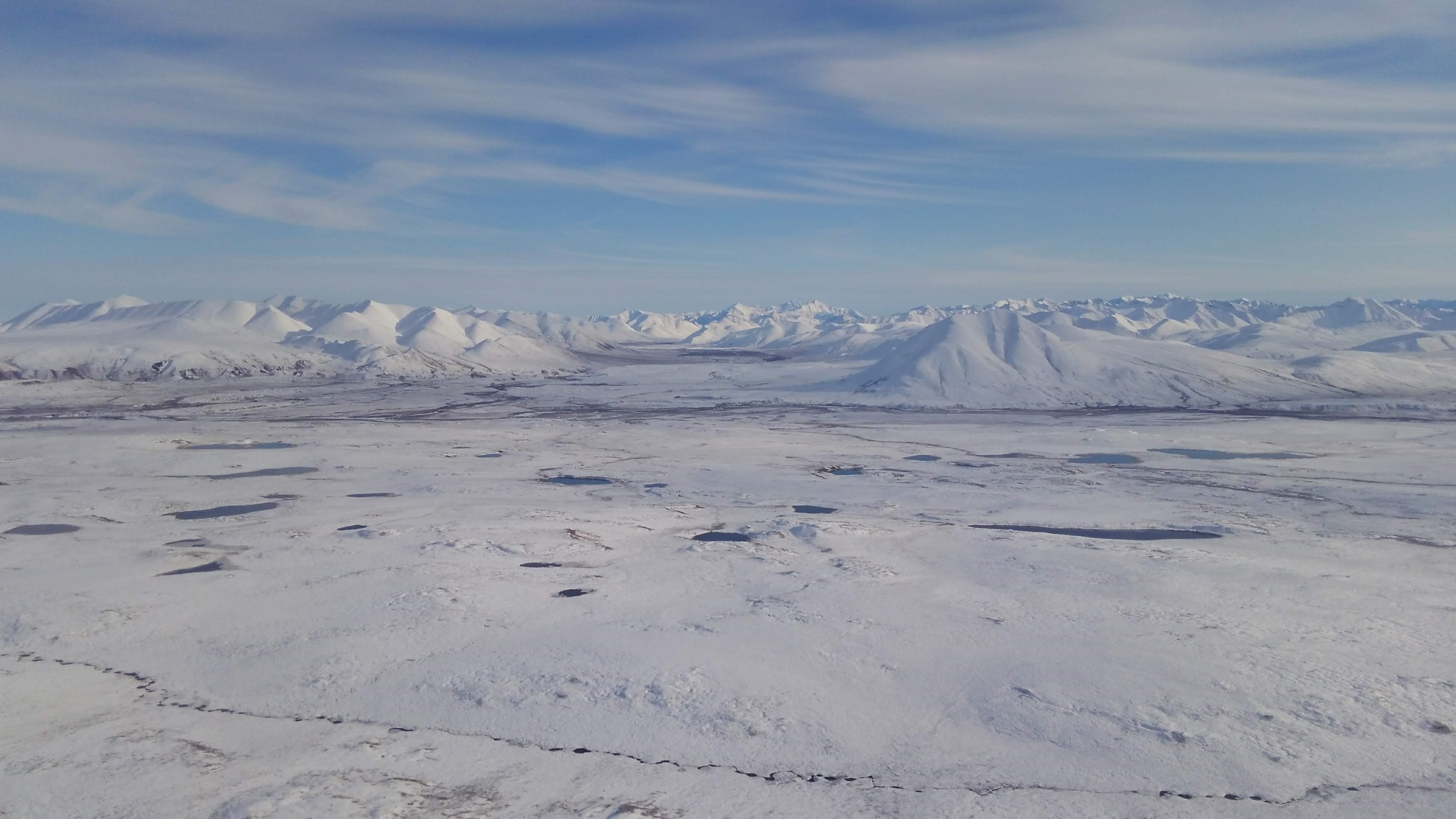 Figure 1. Northern Alaska with a view to the Brooks Range looking south across the tussock tundra landscapes in the foreground.  These tussock tundra systems are becoming snowier and subsequently becoming dominated by shrubs that are leading to greater above and belowground biomass that is being sequester at much higher rates, creating a negative feedback to rising atmospheric CO2 levels (DeFranco et al. 2020)