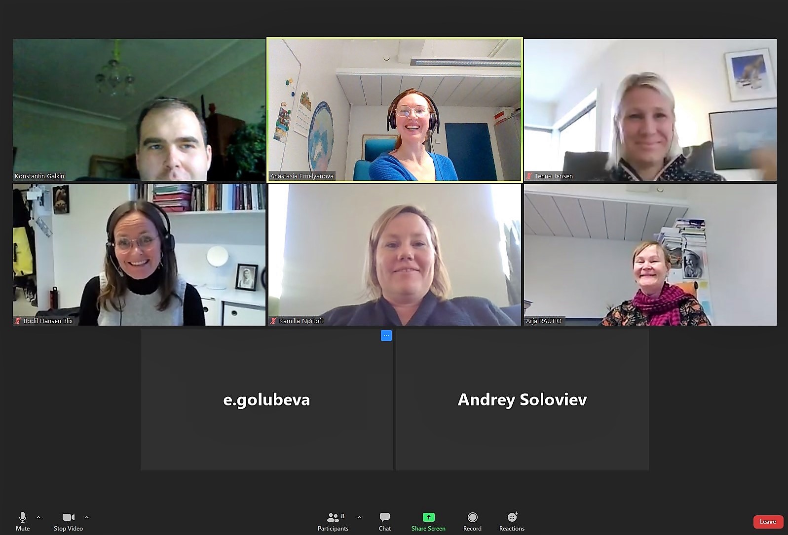 First kick-off meeting online. Credit: Anastasia Emelyanova