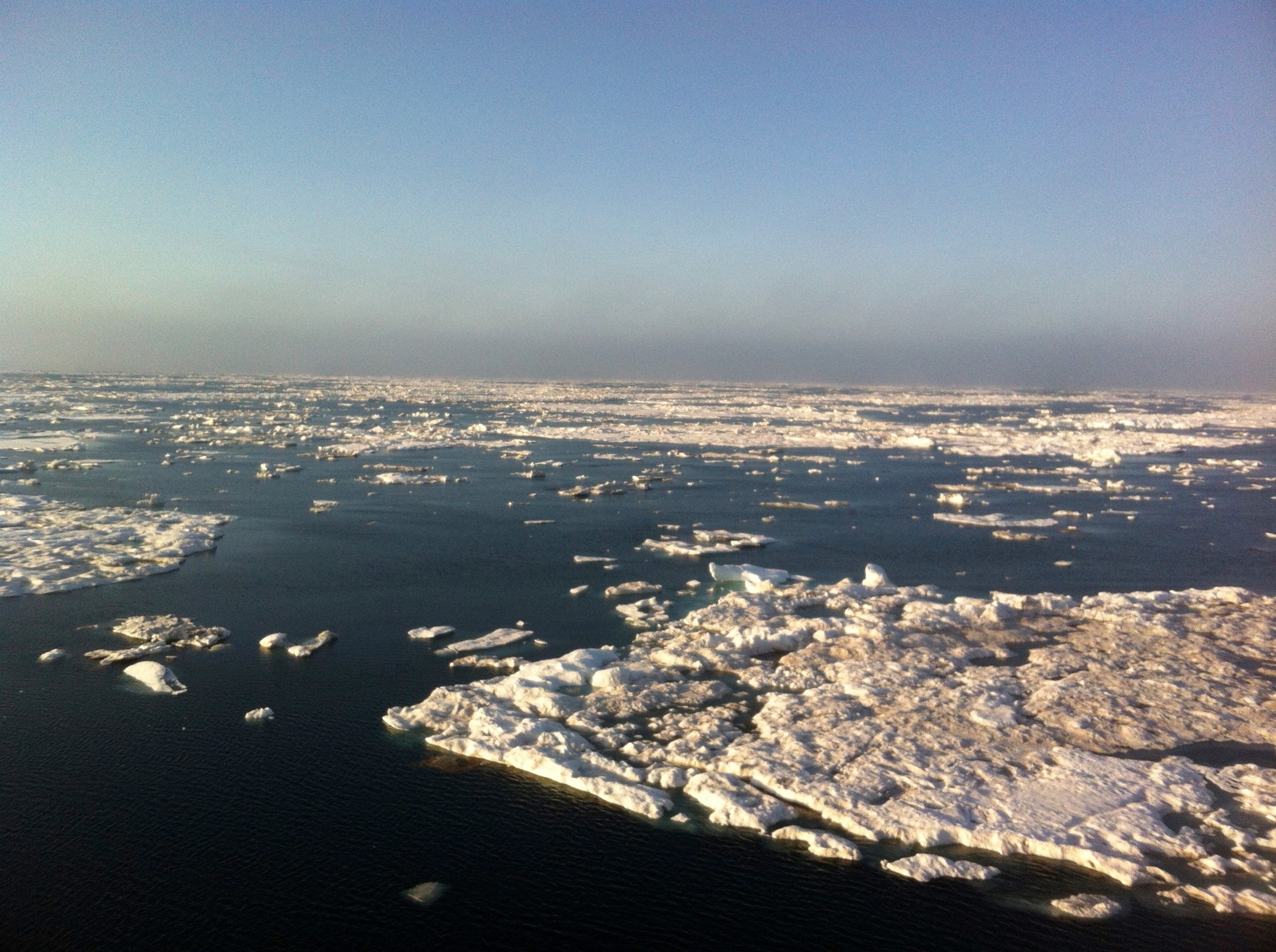 Shrinking sea ice in the Chukchi Sea off the NW coast of Alaska.  Photo J M Welker August 2015 from the US Coast Guard icebreaker, Healy