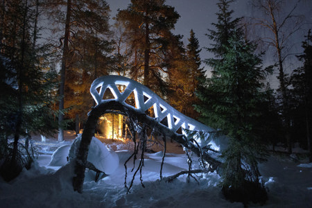 Playing With Snow Around Campfire