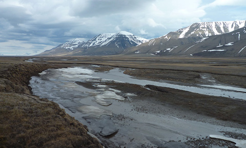 TN Teacher Education Arctic ASSW