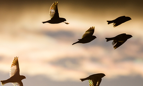 TN Teacher Education Morning Watch