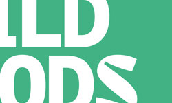 Shared Voices 2021 A Sense Of Home Across The Arctic Through Wild Foods