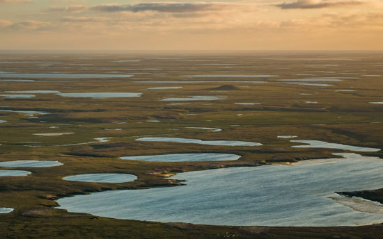 Shared Voices 2021 CHARTER – Towards A Broader Understanding Of Arctic Complexity