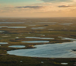 Shared Voices 2021 CHARTER – Towards A Broader Understanding Of Arctic Complexity