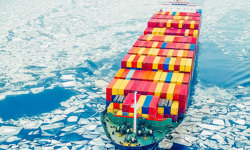 Shared Voices 2021 Collecting Knowledge From Finnmark’S Plateau To Japan