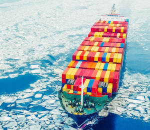 Shared Voices 2021 Collecting Knowledge From Finnmark’S Plateau To Japan