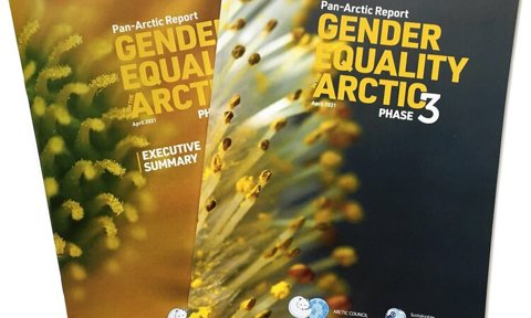 Pan Arctic Report And Executive Summary