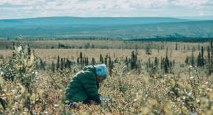 Nan Guk’Anàatii Ejuk T’Igwinjik Project Image
