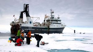 PHOTO: F. Eggenfellner / UNIS