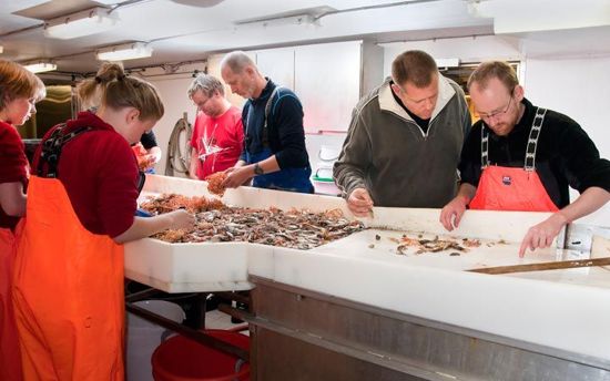 AB-202_cruise_photo_F