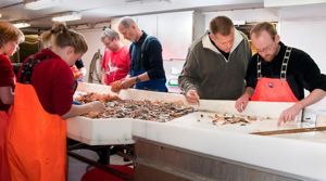 PHOTO: F. Eggenfellner / UNIS