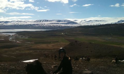 Students Forum Akureyri 2